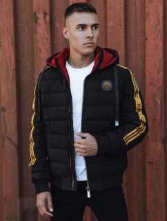 Pánska prešívaná zimná bunda s kapucňou čierna FashionStreet TX4863