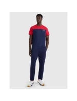 Pánske tričko s potlačou 4F 4FRAW25TTSHM3292-31S