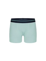 Donella Chlapčenské boxerky 8071PD4 Donella Chlapčenské boxerky 8071PD4