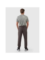 Pánske rýchloschnúce tréningové nohavice 4F 4FWSS25TFTRM0781-81S