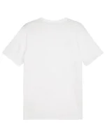 Puma Team Goal Casuals Tee M 658615 04 Pánske