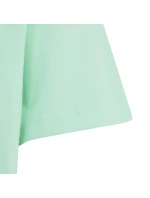 Detské tričko FI Logo Jr IC9532 - Adidas