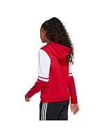 Adidas Squadra 25 Sweat Hoody Jr JD4805 Mikina