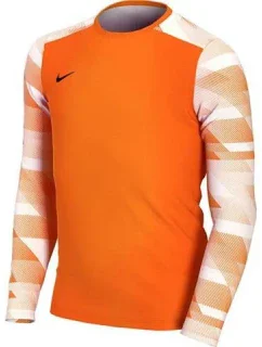 Detská brankárska mikina Dry Park IV JSY LS JR CJ6072-819 - Nike