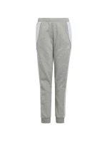 Nohavice adidas Tiro 24 Sweat Jr IS1009