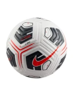 Lopta Nike Academy Plus FZ2979-100