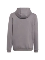 Detské futbalové tričko Entrada 22 Hoody Jr H57515 - Adidas