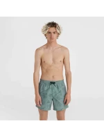 Plavecké šortky O'Neill Mix&Match Cali Print 15'' M 92800613869