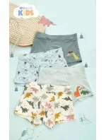 Chlapčenské boxerky 5002 A'2 kombinované zelené - DC Polo Chlapčenské boxerky 5002 A'2 kombinované zelené - DC Polo