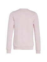 Mikina adidas Big Logo Swt Jr IC6119