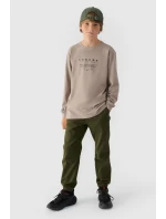 Koszulka Z Długim Rękawem Dla Chłopca Z Nadrukiem Regular 4F 4FJWAW24TLONM294-26S Szara