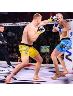 MMAtréningové rukavice S/M - Edge - Valor Series