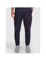 Pánske rýchloschnúce tréningové nohavice 4F 4FWAW25TFTRM0887-30S