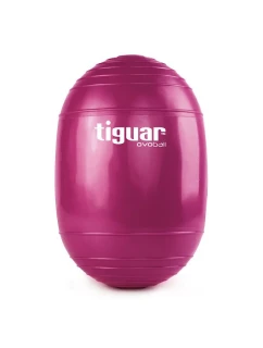 Gymnastická lopta TI-V001S - Tiguar