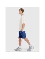 Pánske šortky regular fit SHOM543-031S modré - 4F