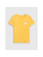 Dámske tričko s potlačou 4F 4FRSS25TTSHF2693-71S