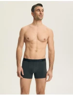 Boxerky Henderson 44540 Bench A3 M–3XL Boxerky Henderson 44540 Bench A3 M–3XL