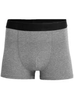 Pánske slipy M H4L22-BIM350-90M - 4F Pánske slipy M H4L22-BIM350-90M - 4F