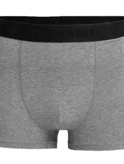 Pánske slipy M H4L22-BIM350-90M - 4F