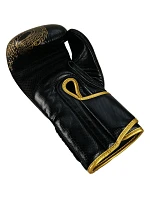 Boxerské rukavice RBT-DRAGON 12 oz