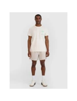 Pánske tričko s potlačou 4F 4FRSS25TTSHM2688-11S