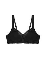 Soft model 229998 Triumph