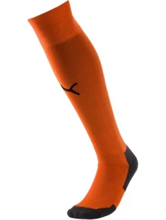 Puma Liga Core Ponožky Futbalové legíny 703441 08