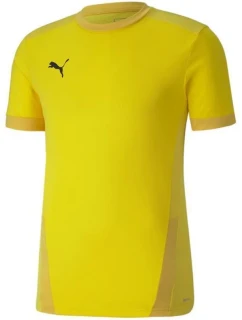 Puma teamGOAL 23 Jersey M 704171 07 pánske dresy