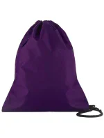 Champion 802339 VS025 taška