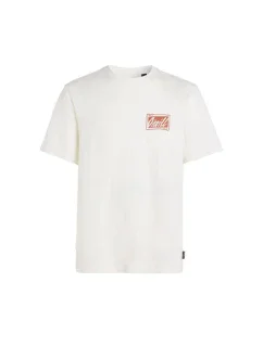 Plážové tričko s grafikou O'Neill M 92800613968