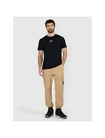 Pánske tričko s potlačou 4F 4FRAW25TTSHM3377-20S pánske