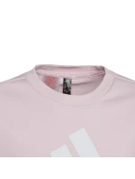 Mikina adidas Big Logo Swt Jr IC6119