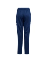 Nohavice adidas Tiro 24 Training Jr IS1007