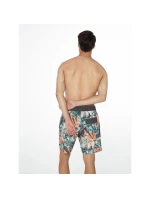 Protest PRTARYF Pánske plážové šortky (P2710621/672)