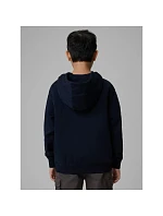 Chlapčenská mikina s kapucňou 4F 4FJWMM00TSWSM1860-31S