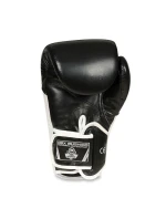Boxerské rukavice 10oz - Blaze White - Legacy Series