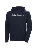 Helly Hansen Core Graphic Sweat Hoodie M 53924 596