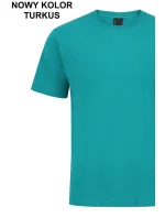 Pánske tričko ALEKSANDER 3XL-4XL Pánske tričko ALEKSANDER 3XL-4XL