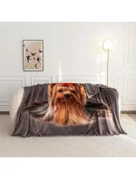 Bavlnená deka Cotton World Touch Animal, Motor 160x200