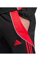 Nohavice adidas Tiro 24 Slim Training M JP2489