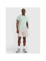 Pánske tričko s potlačou 4F 4FWSS25TTSHM1980-47S