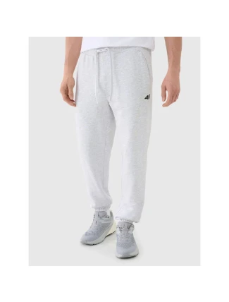 Pánske tepláky 4F 4FWMM00TTROM1139-27M