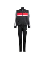 Tepláky adidas Seasonal Essentials Tiberio 3-Stripes Jr JC7519