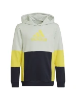 Adidas Colourblock Hoodie Jr HN8567