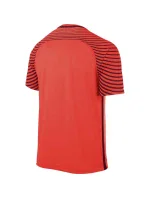 Pánske tričko Gardien M 725889-671 - Nike