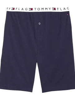 Pánske šortky UM0UM01197-416 - Tommy Hilfiger