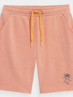Chlapčenské juniorské šortky 4FJSS23TSHOM047 64S - 4F