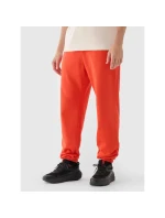 Pánske tepláky typu jogger 4F 4FWMM00TTROM1140-62S