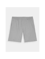 Pánske pravidelné rýchloschnúce tréningové šortky 4F 4FWAW24TFSHM697-25M