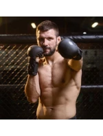 Rukavice MMA M - Black Master - Valor Series